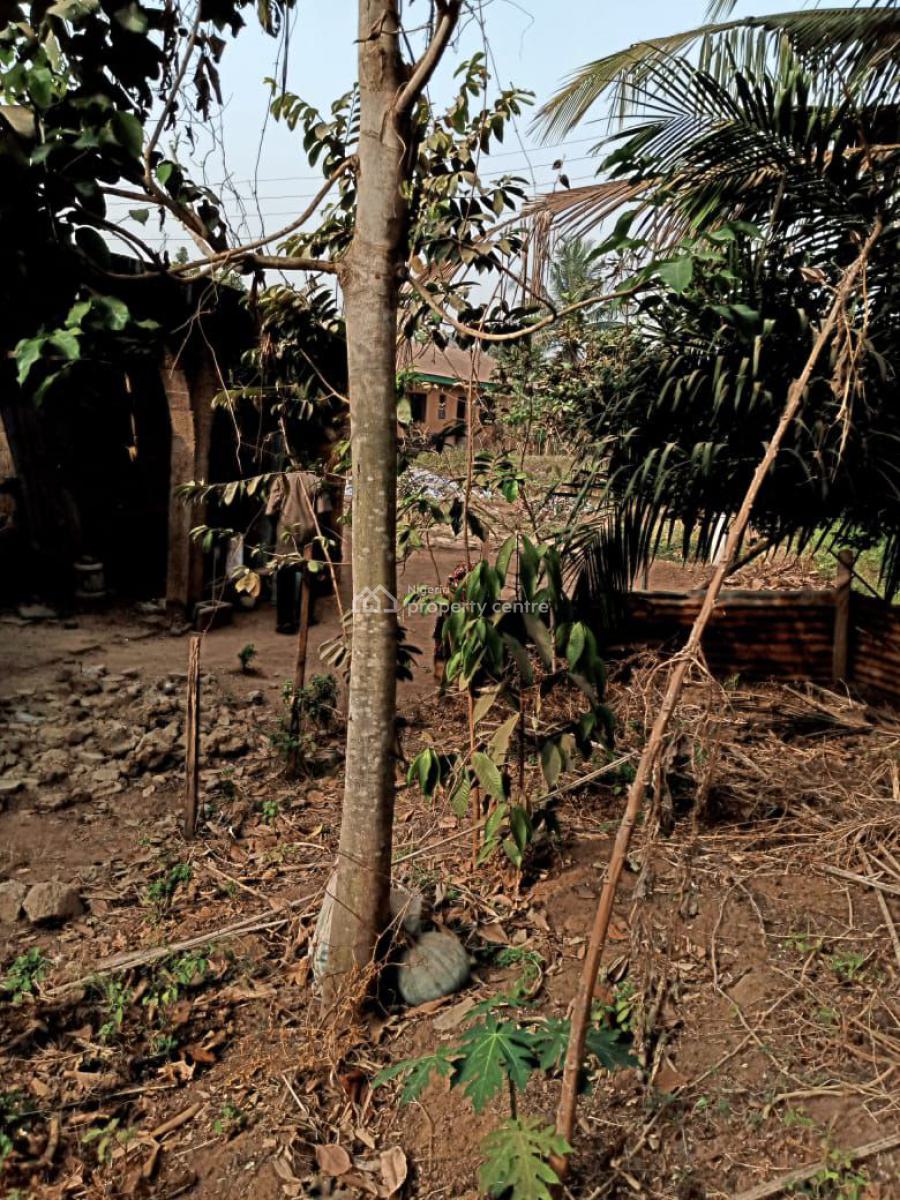 Land 400sqm, Obanikoro  Lagos, Obanikoro, Shomolu, Lagos, Residential Land for Rent