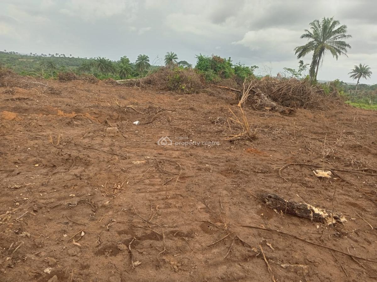 Land with Certificate of Occupancy (c of O), Aiyetoro Along New Lekki International Airport, Ibeju Lekki, Lagos, Residential Land for Sale