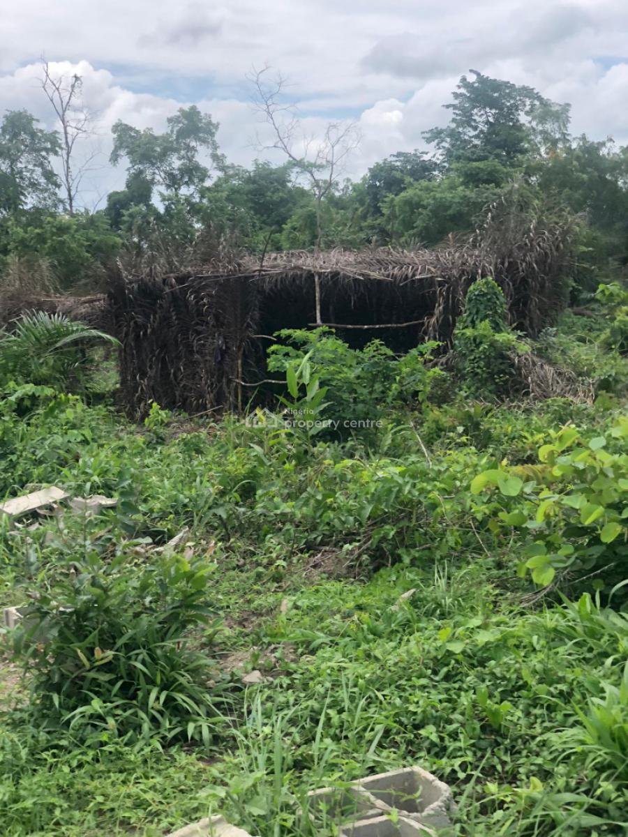Secure Your Own Farm Land Today and Start Growing, Off Funaab, Alabata Road, Abeokuta, Odeda, Ogun, Mixed-use Land for Sale