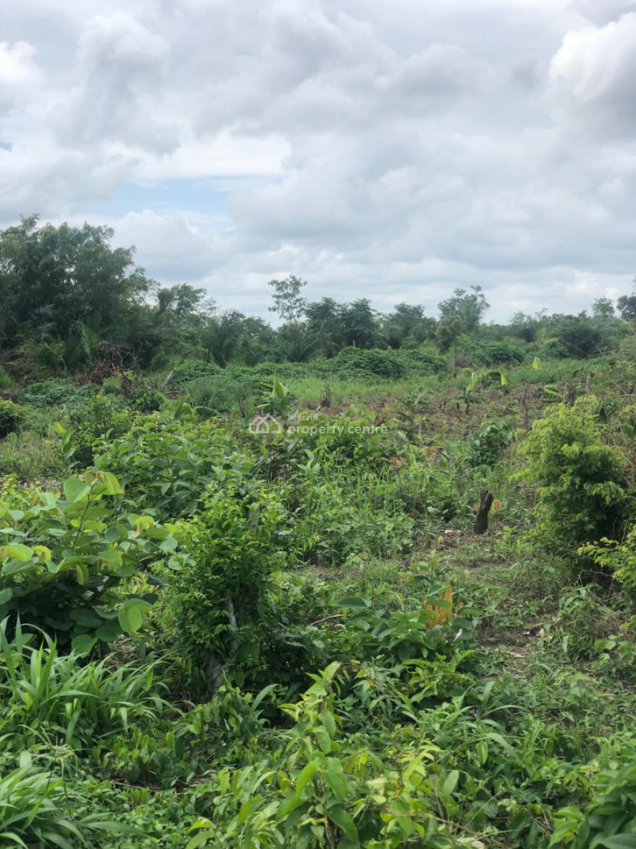 Secure Your Own Farm Land Today and Start Growing, Off Funaab, Alabata Road, Abeokuta, Odeda, Ogun, Mixed-use Land for Sale