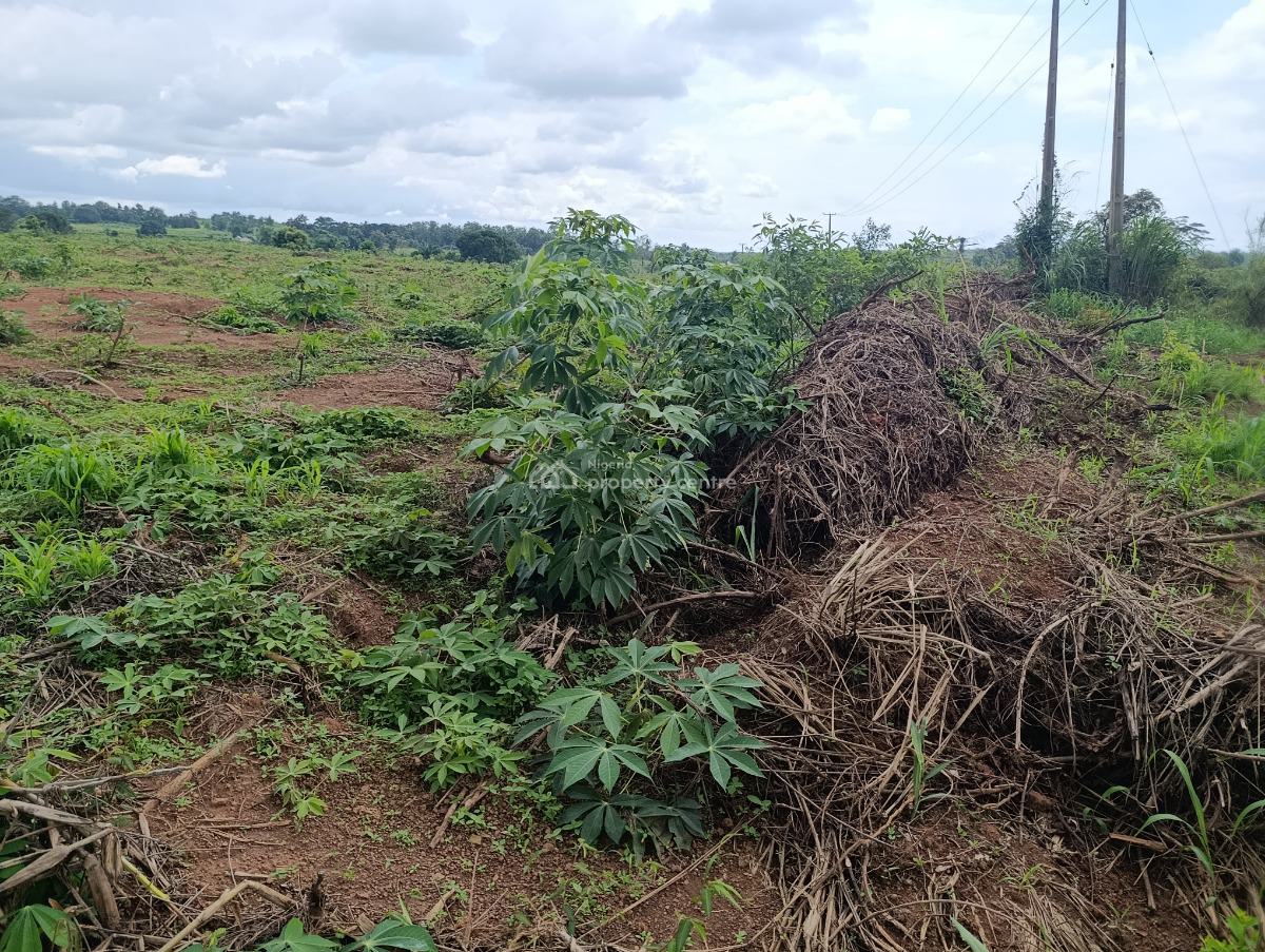 1 Acre of Farm Land, Farm Crops, Aroko Farm and Resort, Aiyetoro, Abeokuta North, Ogun, Mixed-use Land for Sale