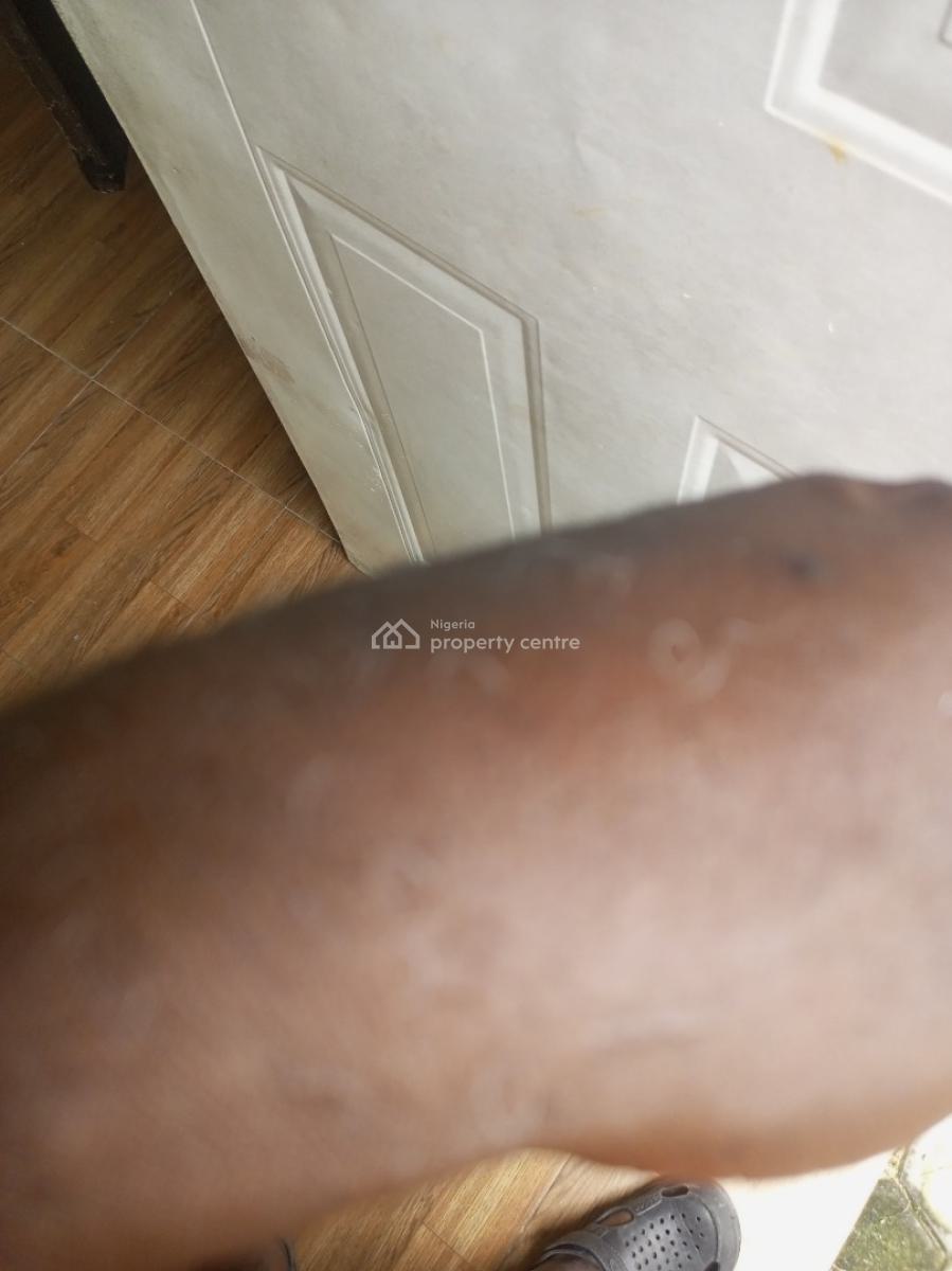 Medium Size Self Contain, Olive Garden Estate, Ogombo, Ajah, Lagos, Self Contain (single Rooms) for Rent