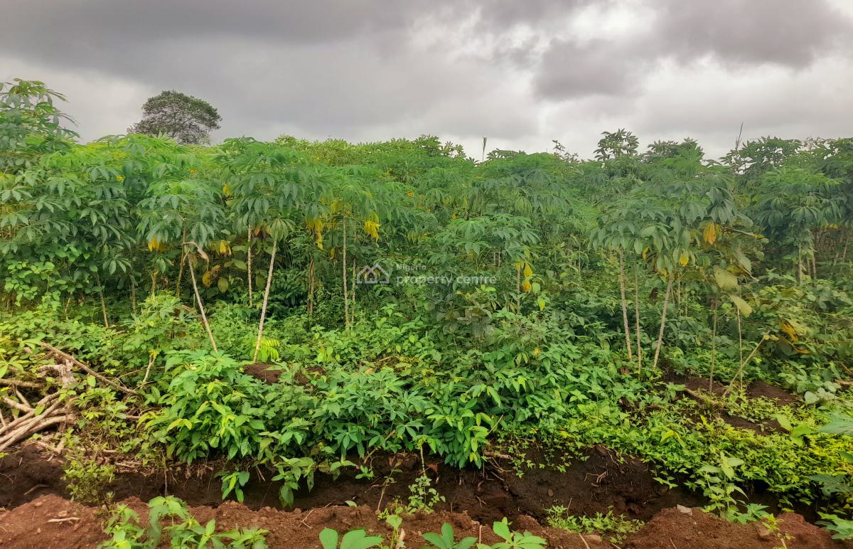C of O Plots and Acres of Cassava Farmlands Facing Abeokuta-iseyin Exp, Directly Facing Abeokuta-iseyin Expressway  Iseyin, Ibadan, Oyo, Land for Sale