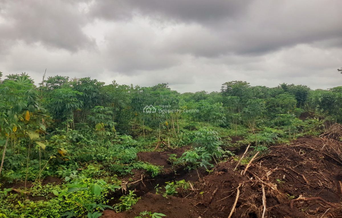 C of O Plots and Acres of Cassava Farmlands Facing Abeokuta-iseyin Exp, Directly Facing Abeokuta-iseyin Expressway  Iseyin, Ibadan, Oyo, Land for Sale