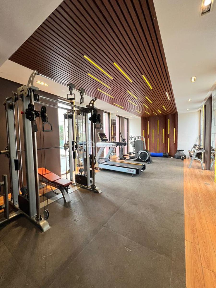 Fully Automated 5-bedroom Luxury Terrace, Banana Island, Ikoyi, Lagos, Flat / Apartment for Rent