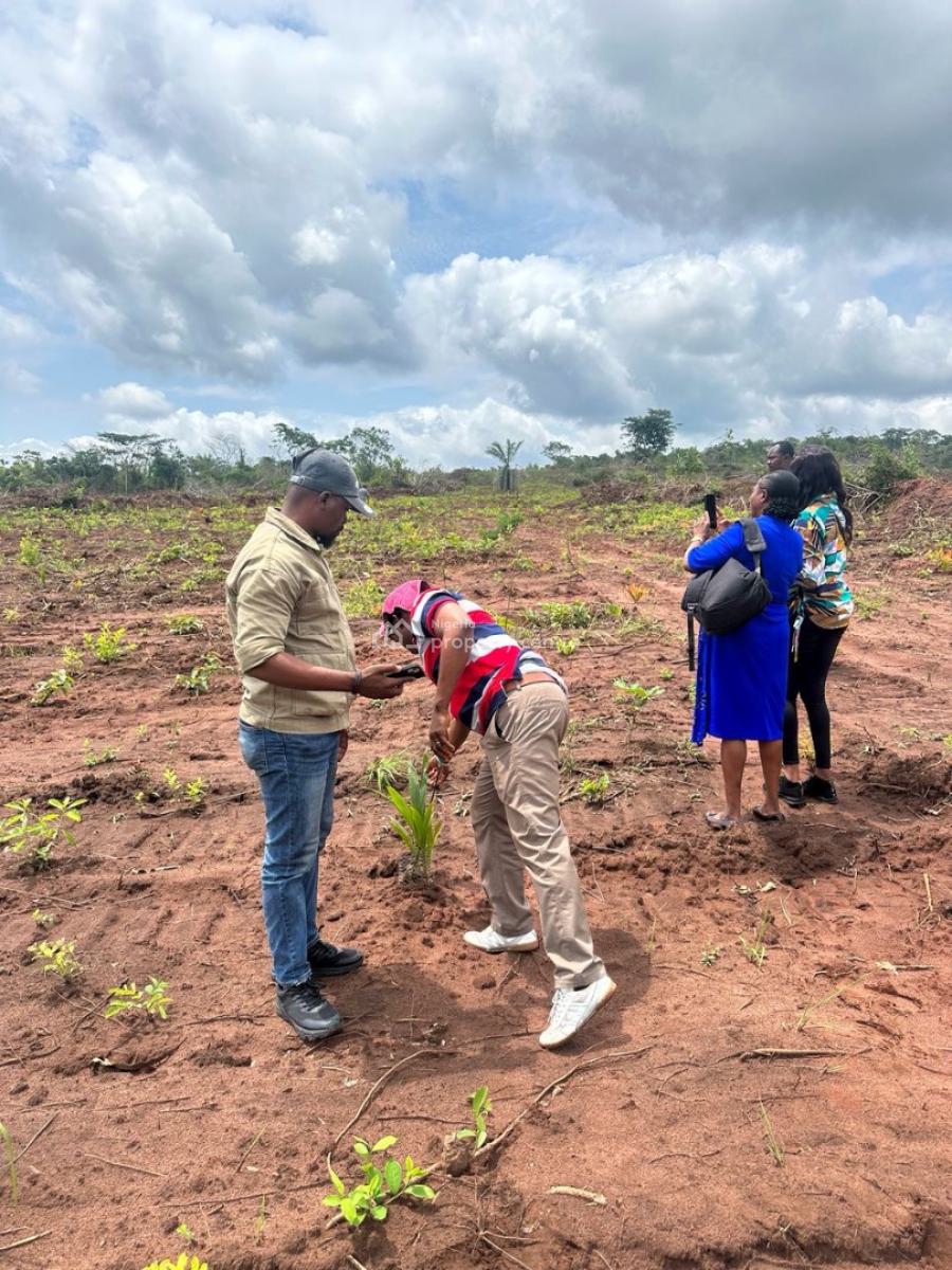 Own a Palm Tree Farm That Earns You ₦5--8 Million Yearly -- Palm Crest, Imeko Afon, Imeko Afon, Ogun, Commercial Land for Sale