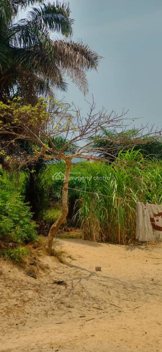 Direct Brief: Water Front 2064.24sqm Land in Igbologun Village, Igbologun Village ,beside Niger Dock, Amuwo Odofin, Lagos, Land for Sale