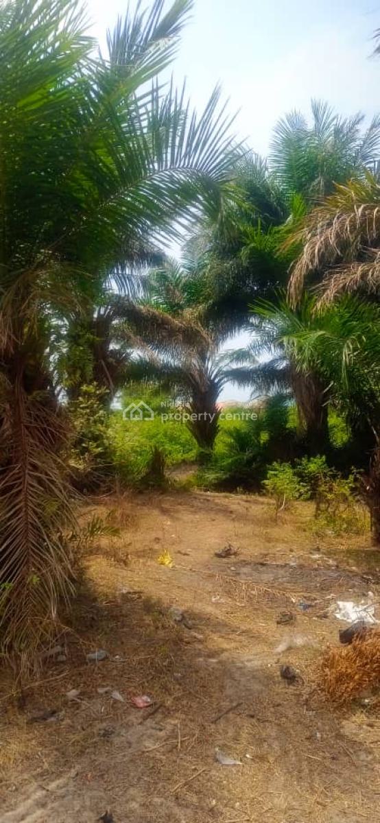 Direct Brief: Water Front 2064.24sqm Land in Igbologun Village, Igbologun Village ,beside Niger Dock, Amuwo Odofin, Lagos, Land for Sale