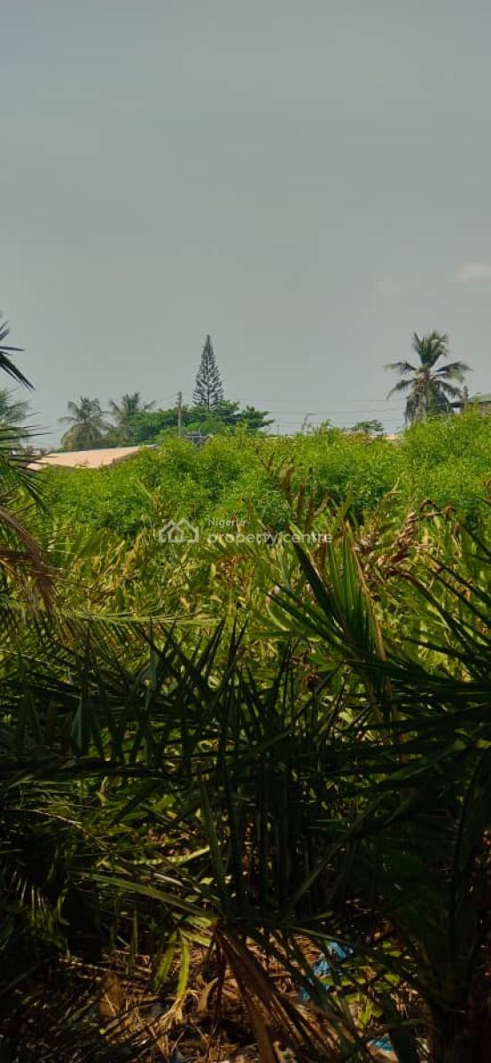 Direct Brief: Water Front 2064.24sqm Land in Igbologun Village, Igbologun Village ,beside Niger Dock, Amuwo Odofin, Lagos, Land for Sale