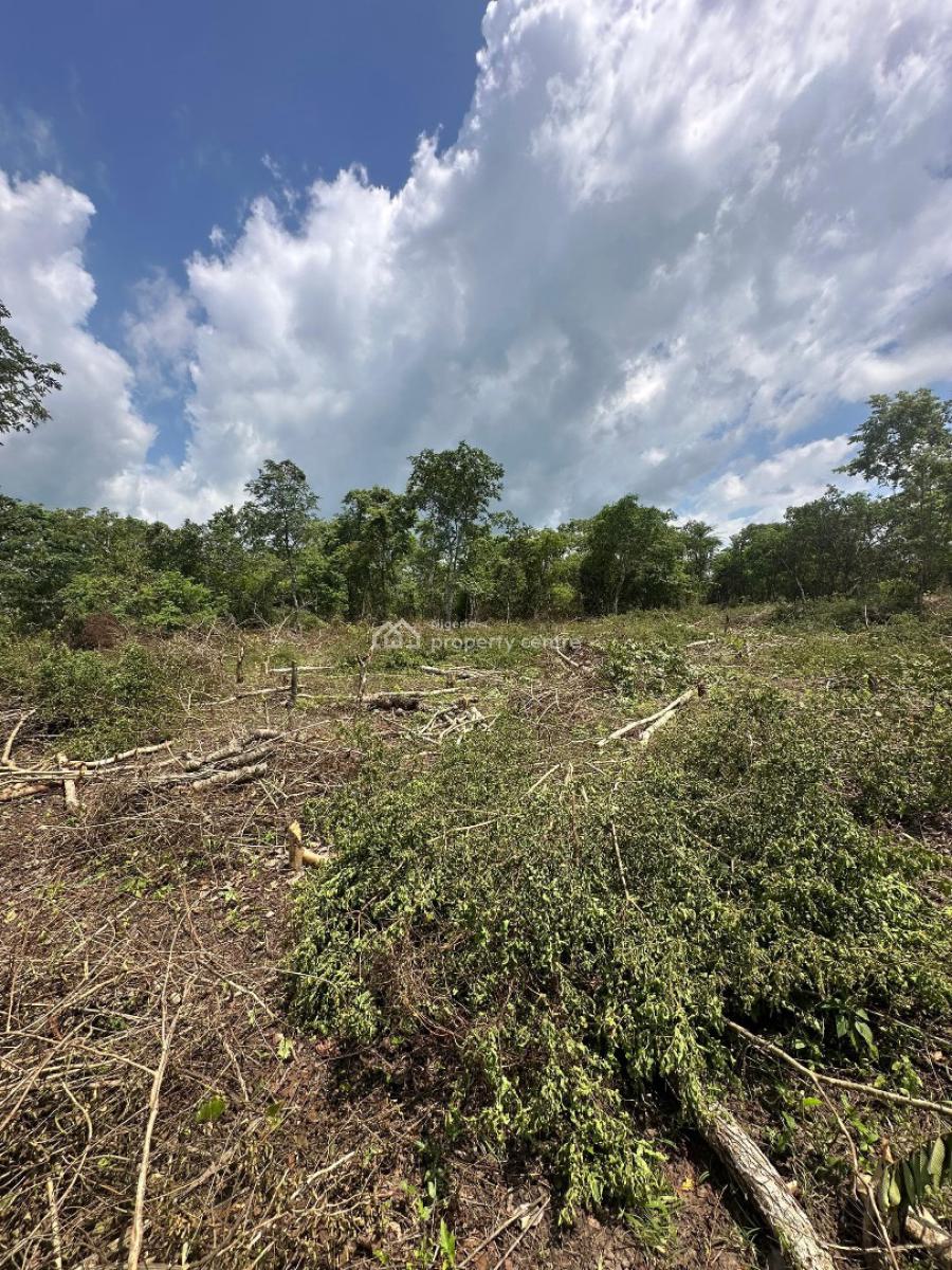 Most Affordable Income Generating Farm Land for Palm Oil, Alabata, Abeokuta South, Ogun, Mixed-use Land for Sale