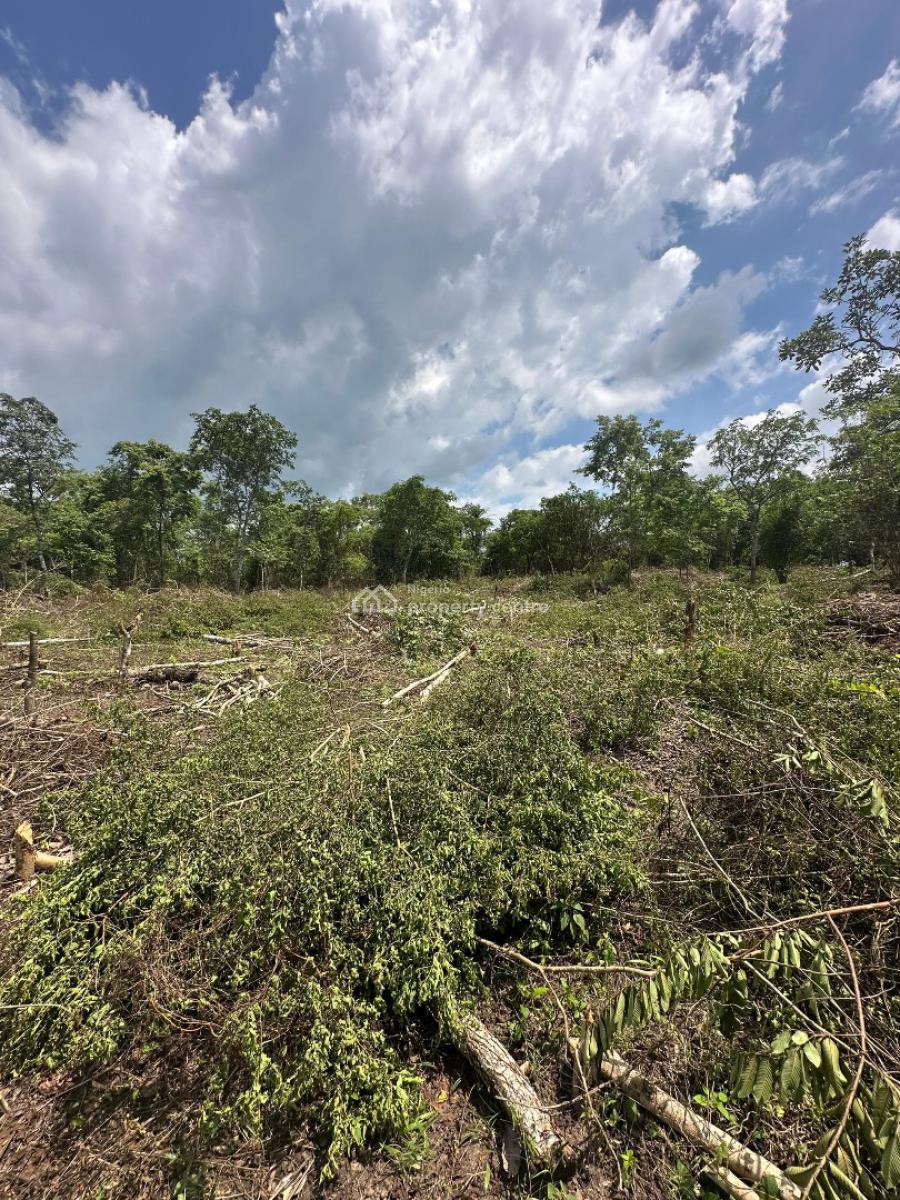 Most Affordable Income Generating Farm Land for Palm Oil, Alabata, Abeokuta South, Ogun, Mixed-use Land for Sale