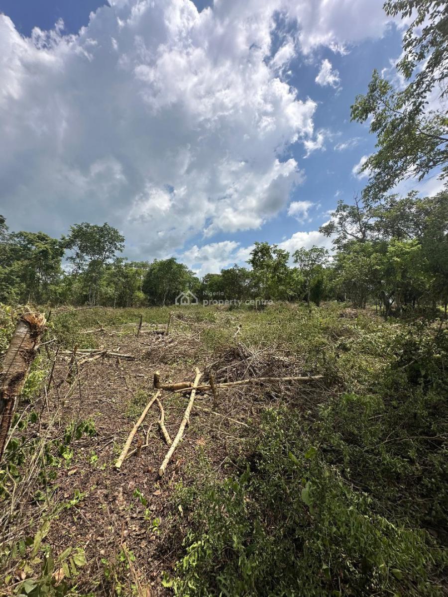 Most Affordable Income Generating Farm Land for Palm Oil, Alabata, Abeokuta South, Ogun, Mixed-use Land for Sale
