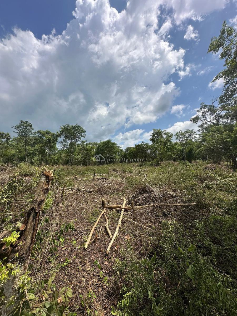 Most Affordable Income Generating Farm Land for Palm Oil, Alabata, Abeokuta South, Ogun, Mixed-use Land for Sale