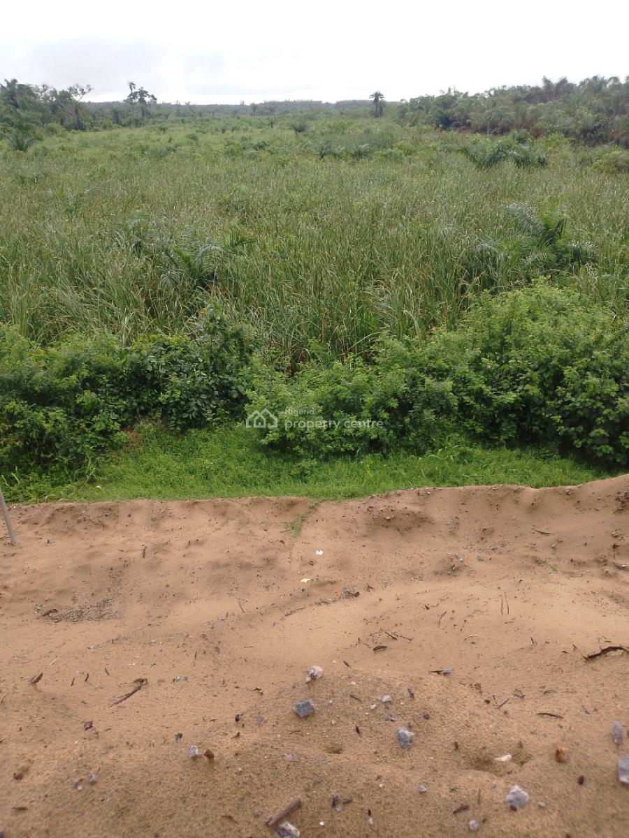 Premium Affordable Land, Orimedu, Ibeju Lekki, Lagos, Land for Sale