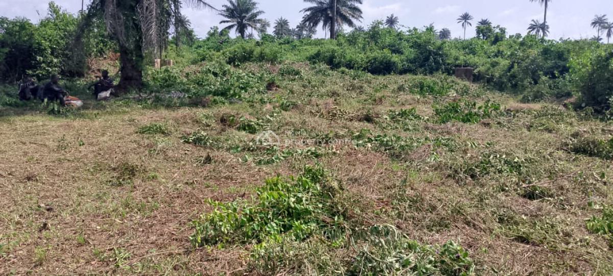 Affordable and Genuine Land, Ideal Mega City, Imegun, Okenla, Epe, Lagos, Residential Land for Sale