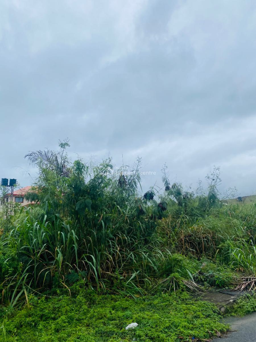 980sqm Dry Land for Residential, Royal Garden Estate, Ajah, Lagos, Residential Land for Sale