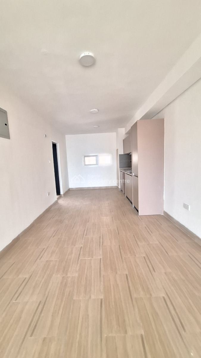 2 Bedroom Apartment, Ikate, Ikate, Lekki, Lagos, Flat / Apartment for Rent