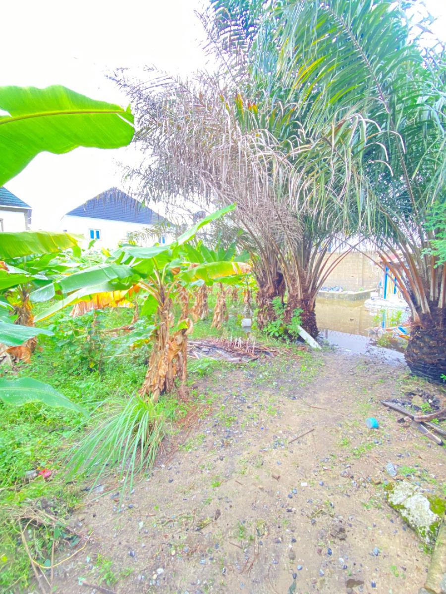 Welll Positioned 600sqm Land at Goodnews Estate Sangotedo, Goodnews Estate Sangotedo, Sangotedo, Ajah, Lagos, Residential Land for Sale