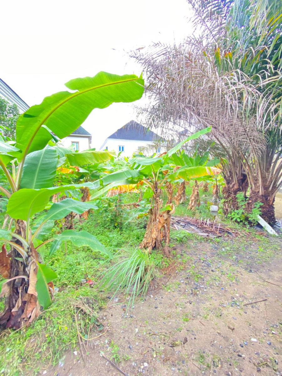 Welll Positioned 600sqm Land at Goodnews Estate Sangotedo, Goodnews Estate Sangotedo, Sangotedo, Ajah, Lagos, Residential Land for Sale