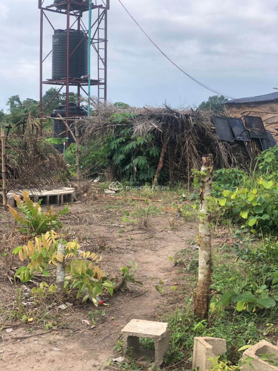 Get an Acre of Land for Farming with a Promo Offer, Off Funaab, Alabata Road, Abeokuta, Odeda, Ogun, Mixed-use Land for Sale