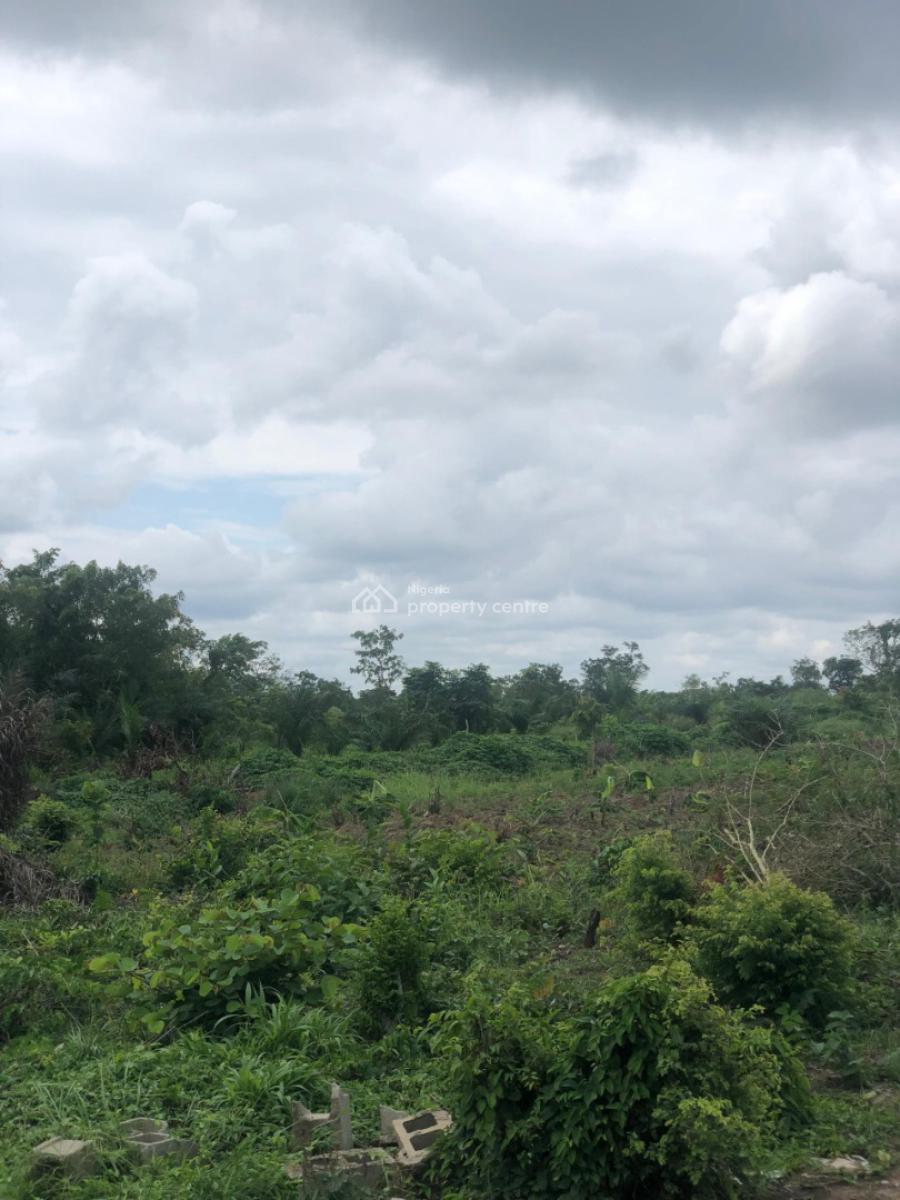Get an Acre of Land for Farming with a Promo Offer, Off Funaab, Alabata Road, Abeokuta, Odeda, Ogun, Mixed-use Land for Sale