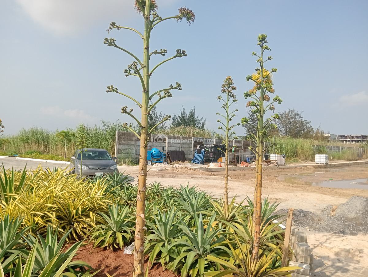 Prime Location Land with Certificate of Occupancy C of O, Fresh Water Garden Located at Itedo Waterfront, Lagoon Off Freedom Way, Lekki Phase 1, Lekki, Lagos, Residential Land for Sale