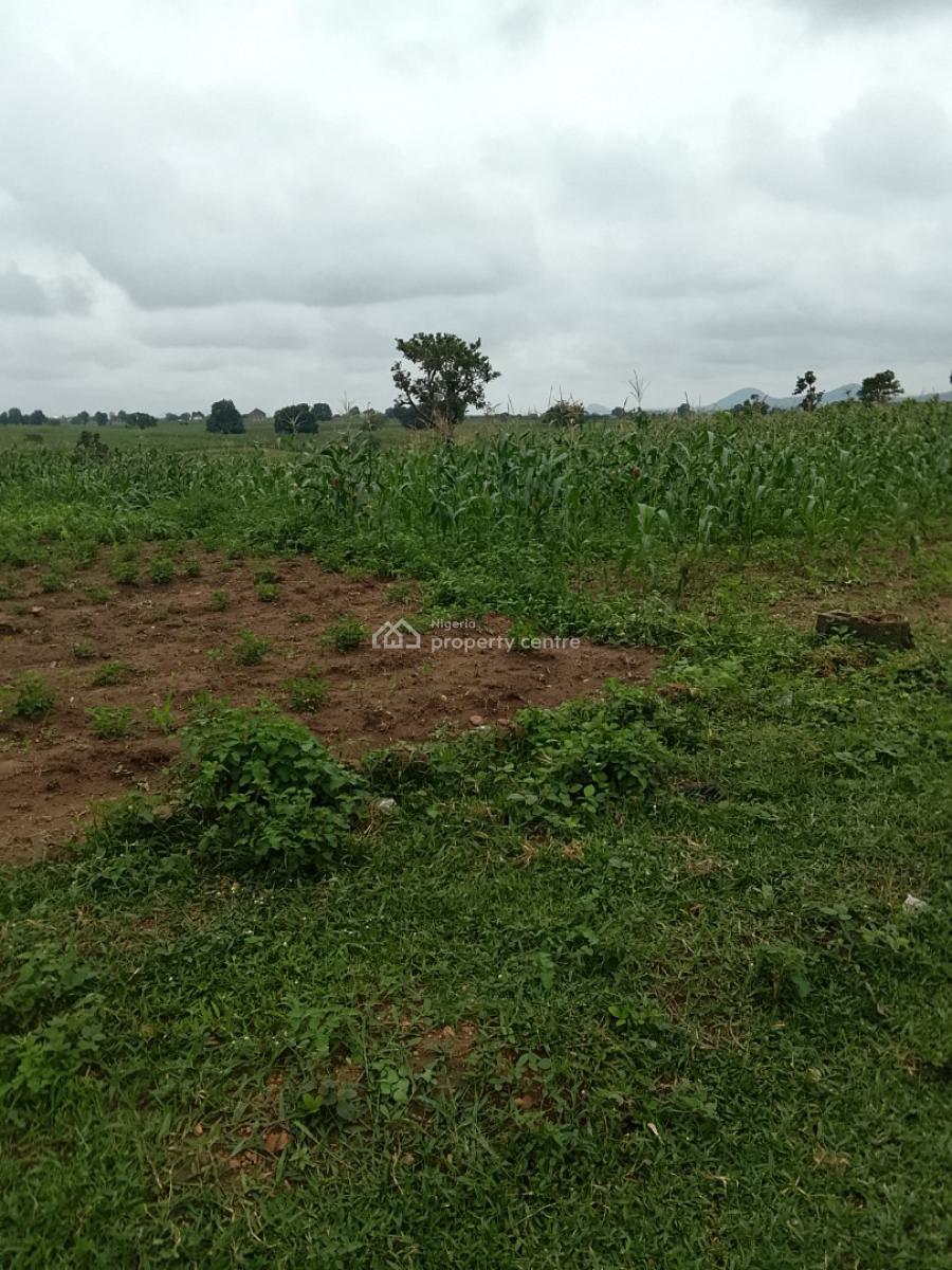 4 Bedroom Luxury Villa Pentloor Bq, Asokoro District, Abuja, Mixed-use Land for Sale