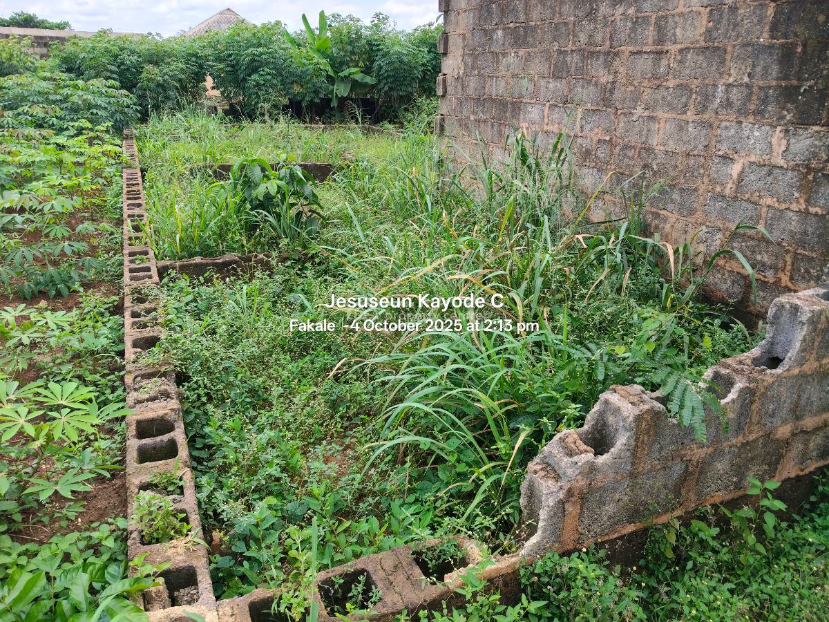 1 Bedroom Bungalow on Full Plot of Land and Foundation, Baba Dada Street By Baba Dada Junction Ilu Oloye, Maya, Ikorodu, Lagos, Detached Bungalow for Sale