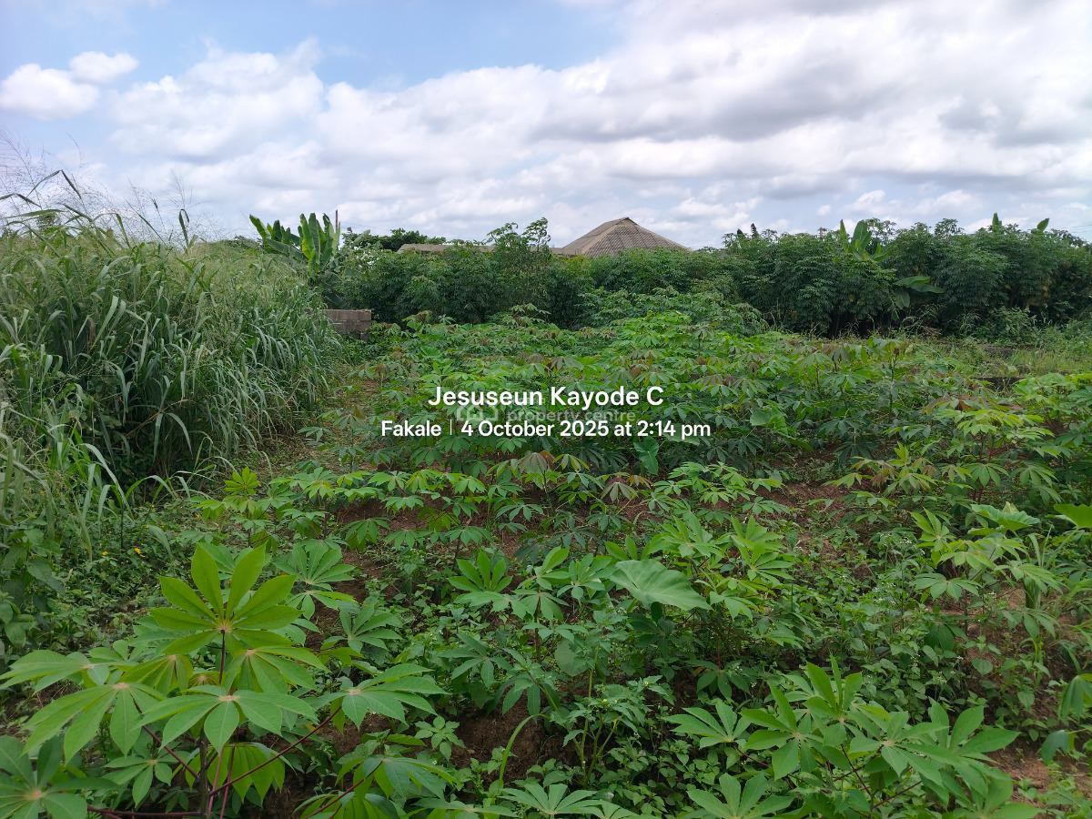 1 Bedroom Bungalow on Full Plot of Land and Foundation, Baba Dada Street By Baba Dada Junction Ilu Oloye, Maya, Ikorodu, Lagos, Detached Bungalow for Sale