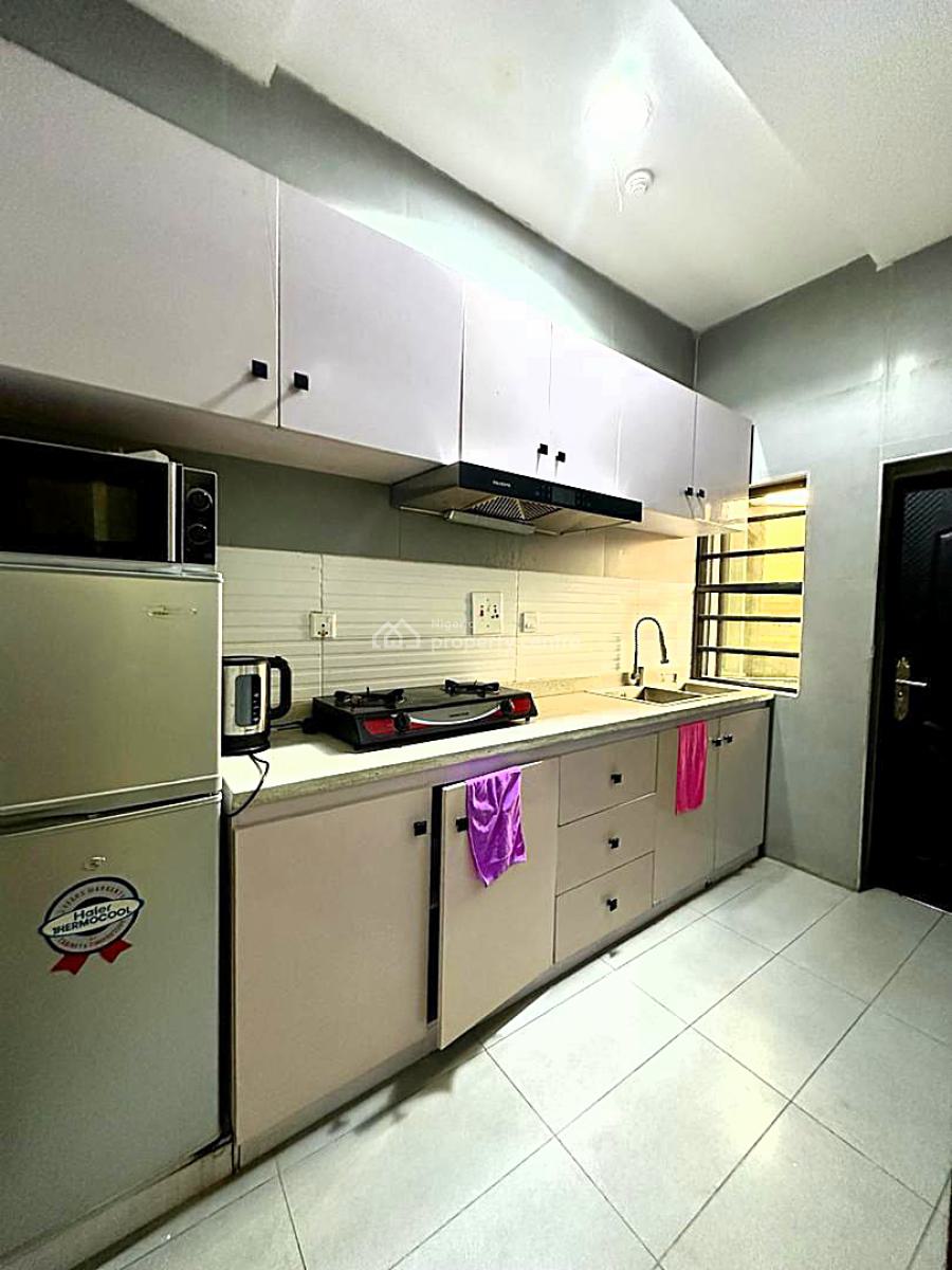 High Quality Furnished Luxury 2 Bedroom Apartment, Off Bode Thomas, Surulere, Lagos, Flat / Apartment Short Let