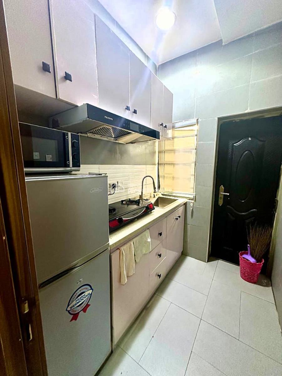 Fully Furnished and Serviced Luxury 2 Bedroom Apartment, Off Bode Thomas, Surulere, Surulere, Lagos, Flat / Apartment Short Let