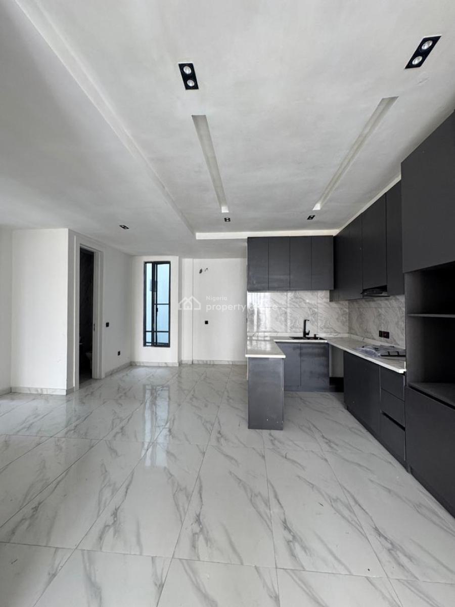 Luxury Built 2 Bedroom Flat, Ikate, Lekki, Lagos, Flat / Apartment for Rent