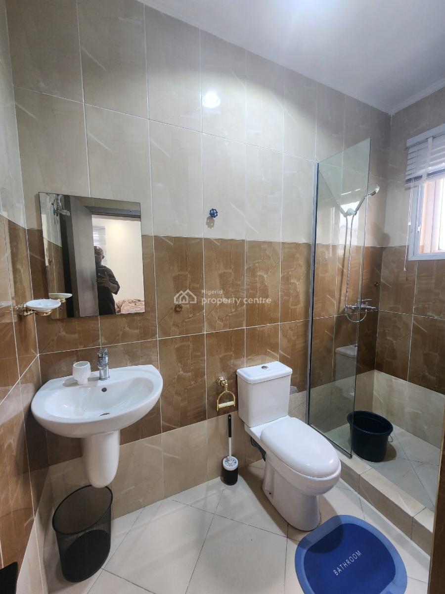 Furnished 2 Bedroom Apartment with Swimming Pool and Gym, Old Ikoyi, Ikoyi, Lagos, Flat / Apartment for Rent