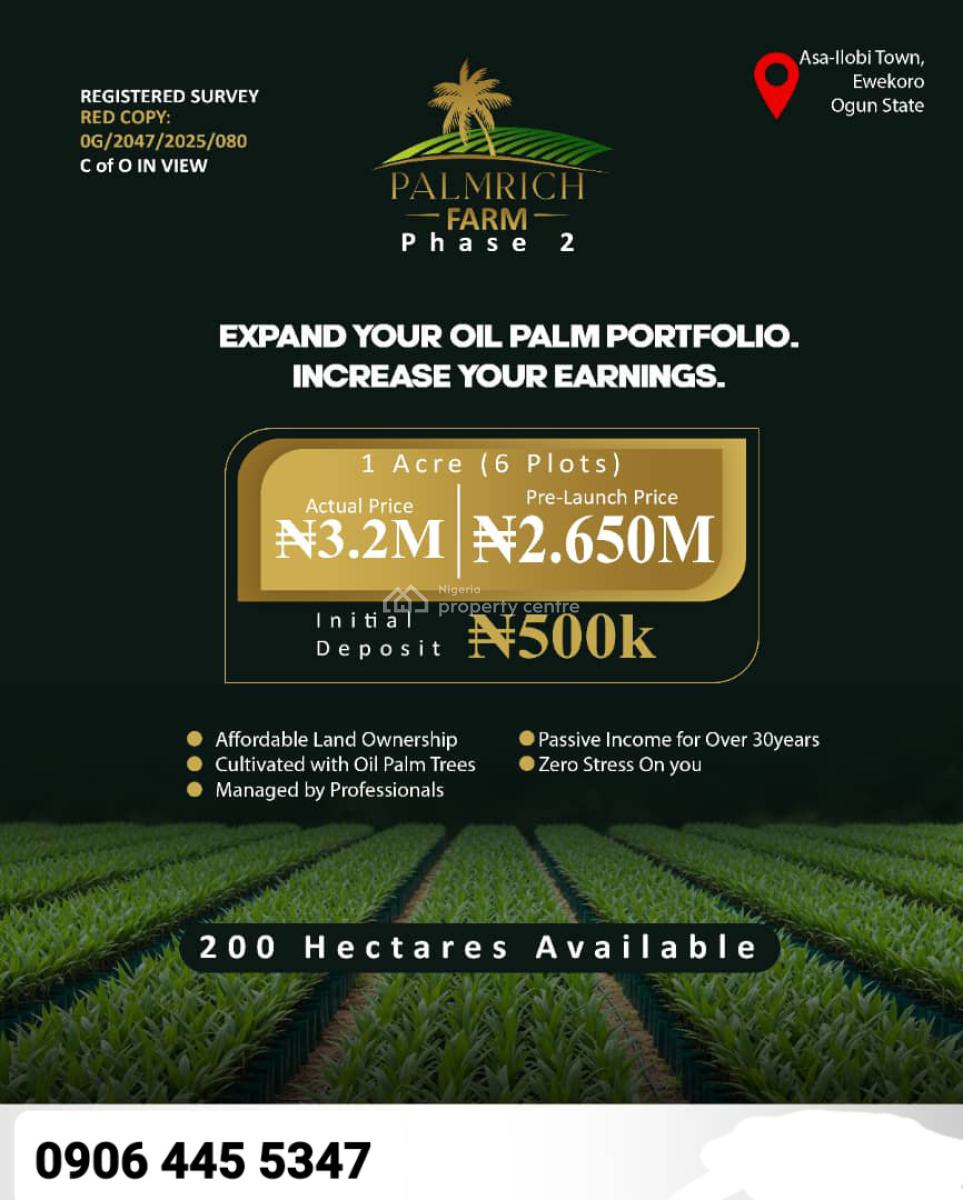 Acres & Hectares of Oil Palm Trees Farmland in Asa-ilobi Town, Ewekoro, Palm Oil Tree Farmlands in Asa-ilobi Town, Ewekoro, Ogun, Land for Sale