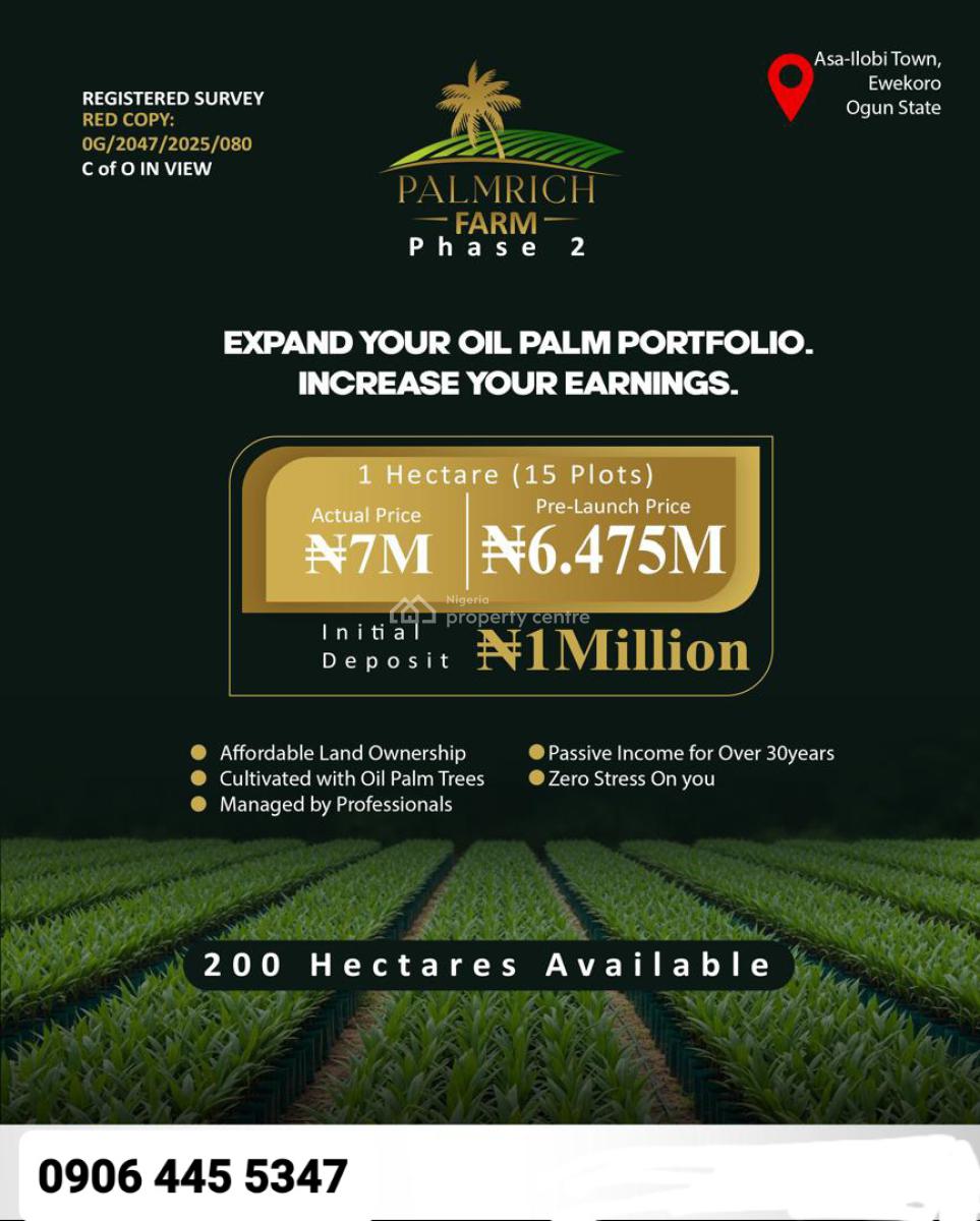 Acres & Hectares of Oil Palm Trees Farmland in Asa-ilobi Town, Ewekoro, Palm Oil Tree Farmlands in Asa-ilobi Town, Ewekoro, Ogun, Land for Sale