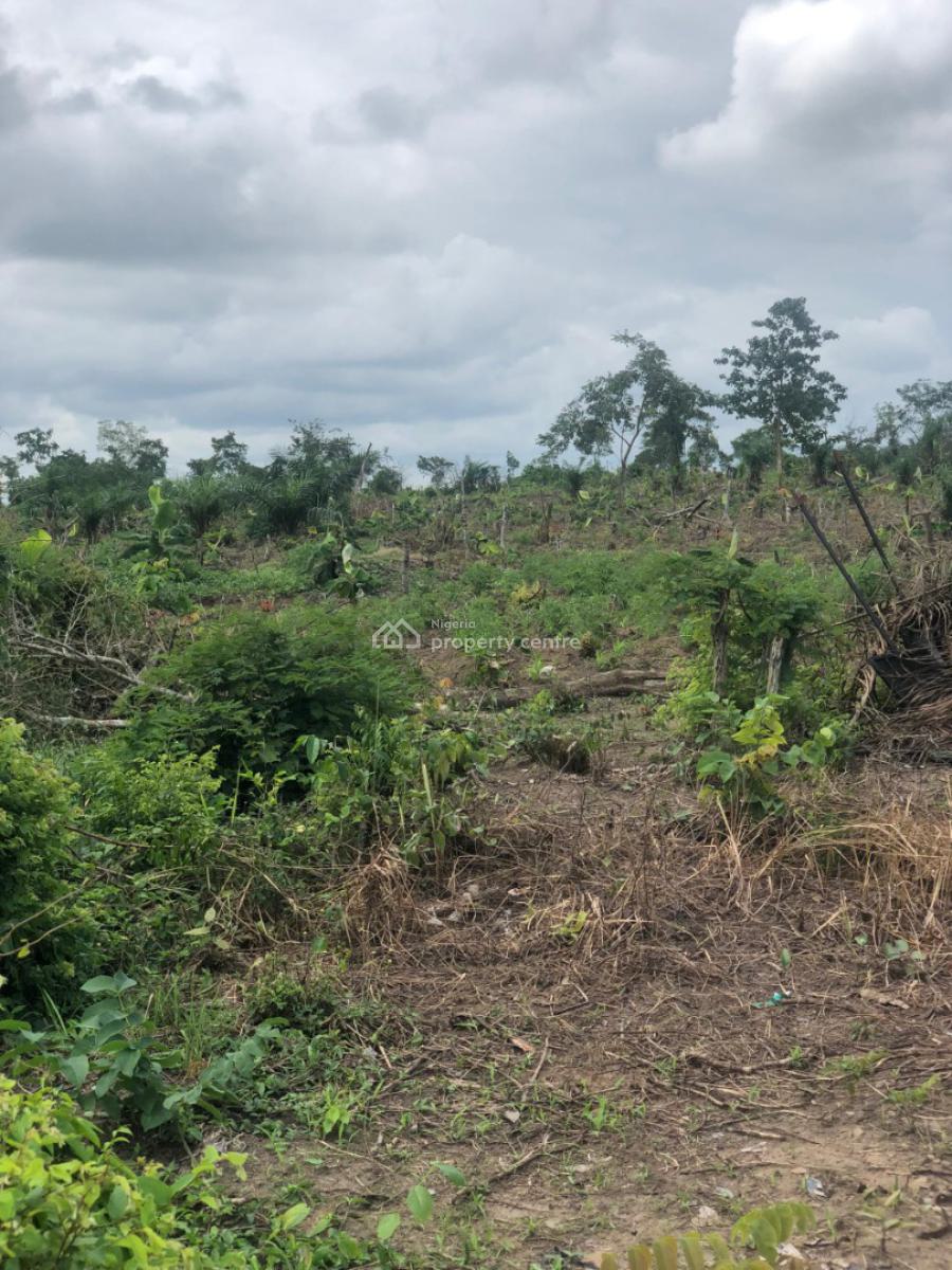 Own an Acre of 100% Fertile Land Suitable for Farming, Off Funaab, Alabata Road, Abeokuta, Odeda, Ogun, Mixed-use Land for Sale