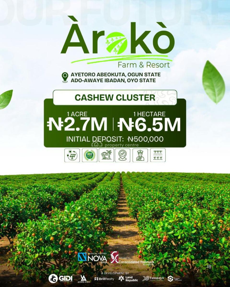 Farm Land-----cocoa, Cashew, Cash Crop, Live Stock, Ayetoro, Ado-awaye, Yewa North, Ogun, Commercial Land for Sale