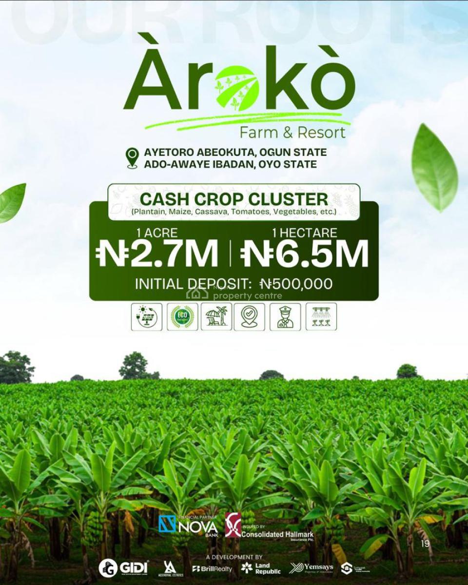 Farm Land-----cocoa, Cashew, Cash Crop, Live Stock, Ayetoro, Ado-awaye, Yewa North, Ogun, Commercial Land for Sale