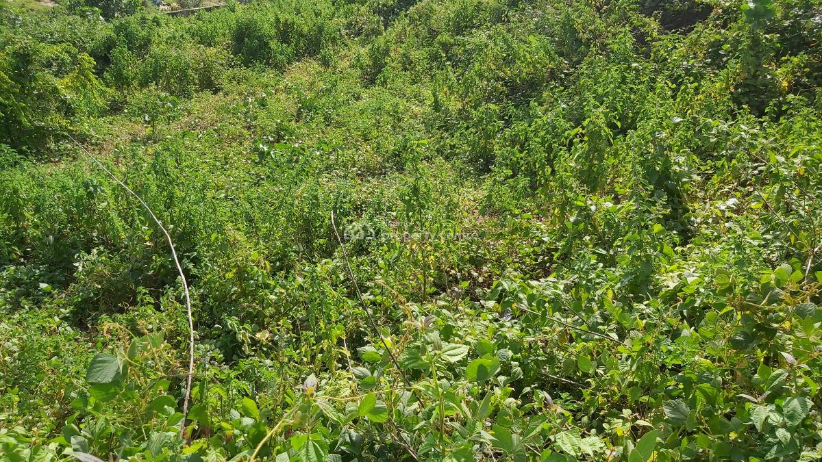 Land, Guzape District, Abuja, Residential Land for Sale