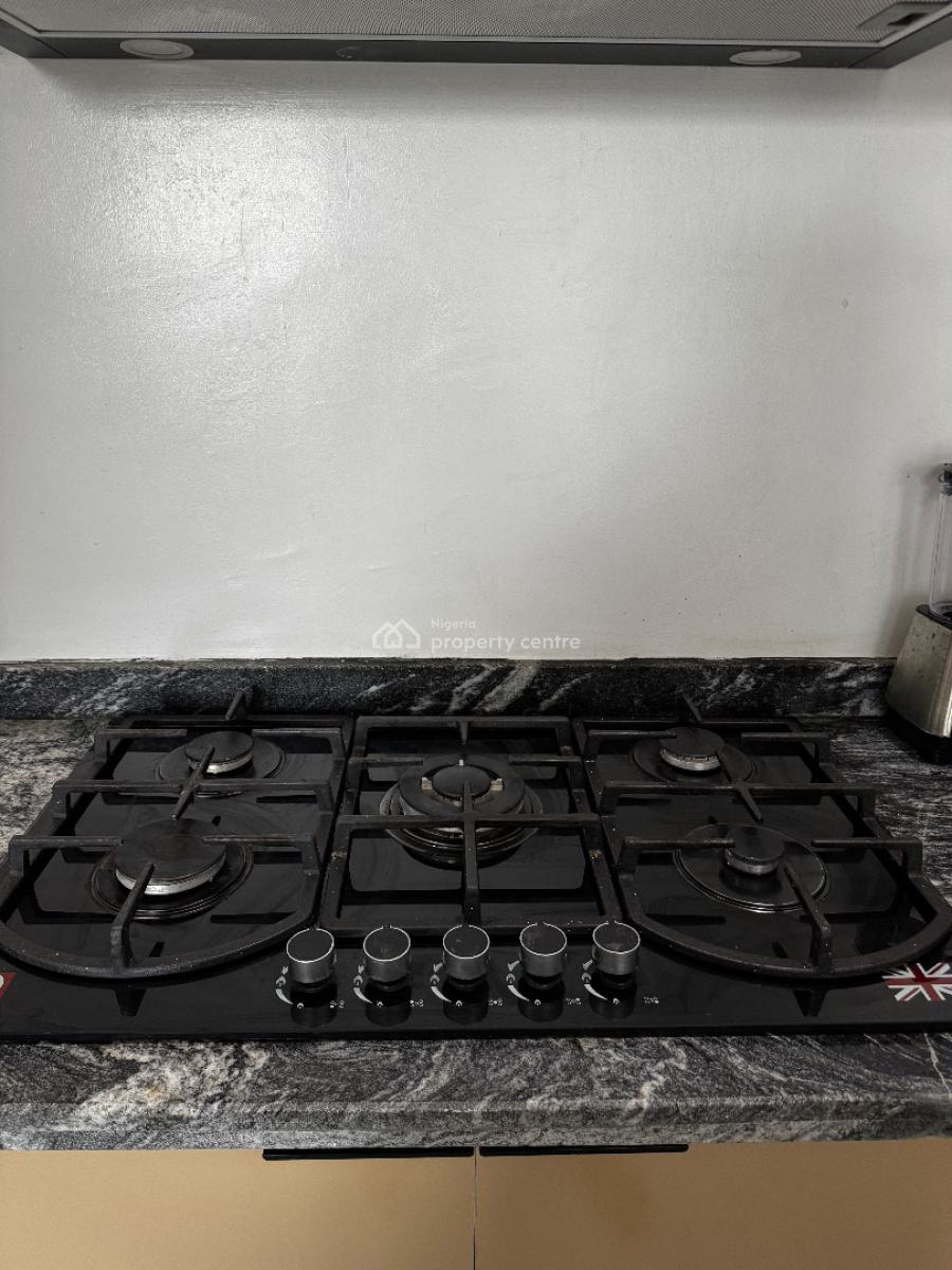 2 Bedroom Fully Furnished Apartment, Bera Estate, Chevron, Lekki, Lekki Phase 2, Lekki, Lagos, Flat / Apartment for Rent