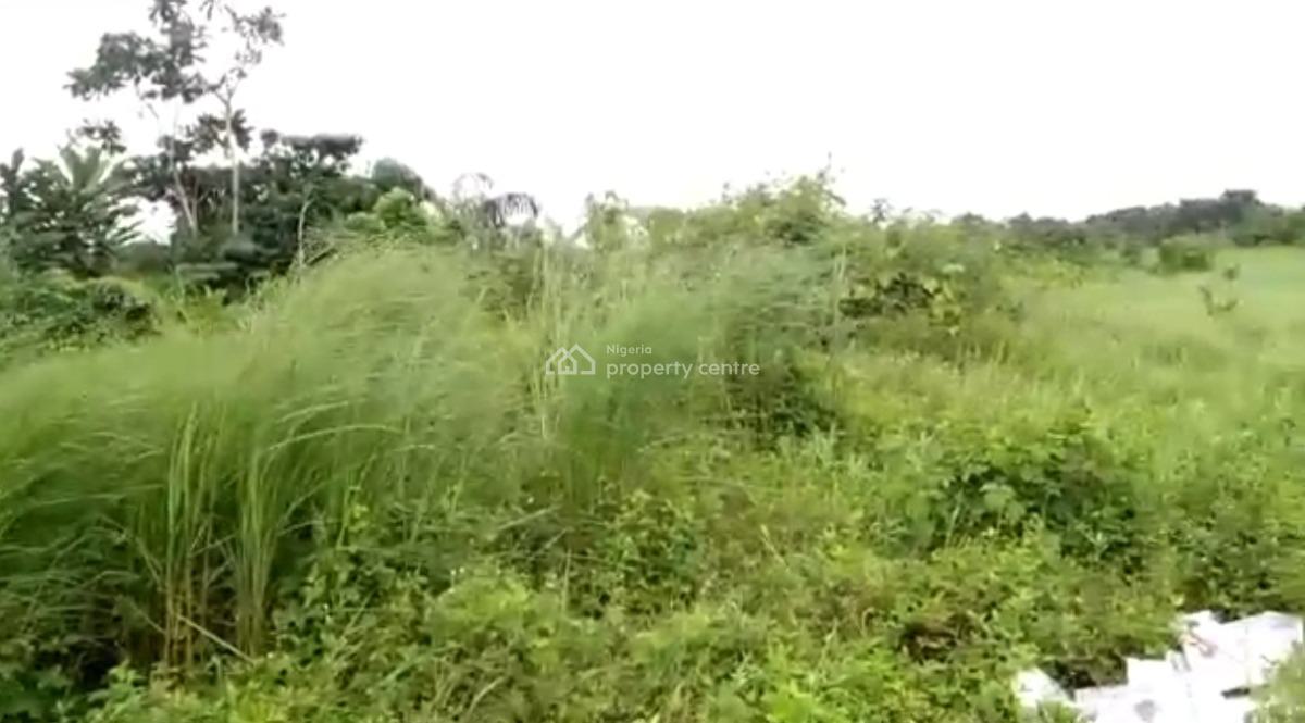 600 Square Metre Land, Emerald Wellness City Estate, Arepo, Off Lagos Ibadan Express Way, Ogu, Berger, Arepo, Ogun, Residential Land for Sale