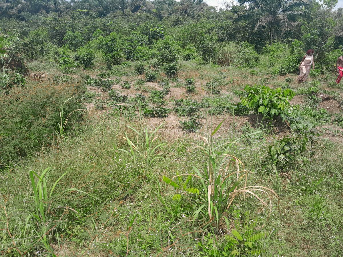 100ft By 200ft Land, Obadolovbiyeyi Community Off Benin Agbor Road Bypass Benin City, Benin, Oredo, Edo, Land for Sale