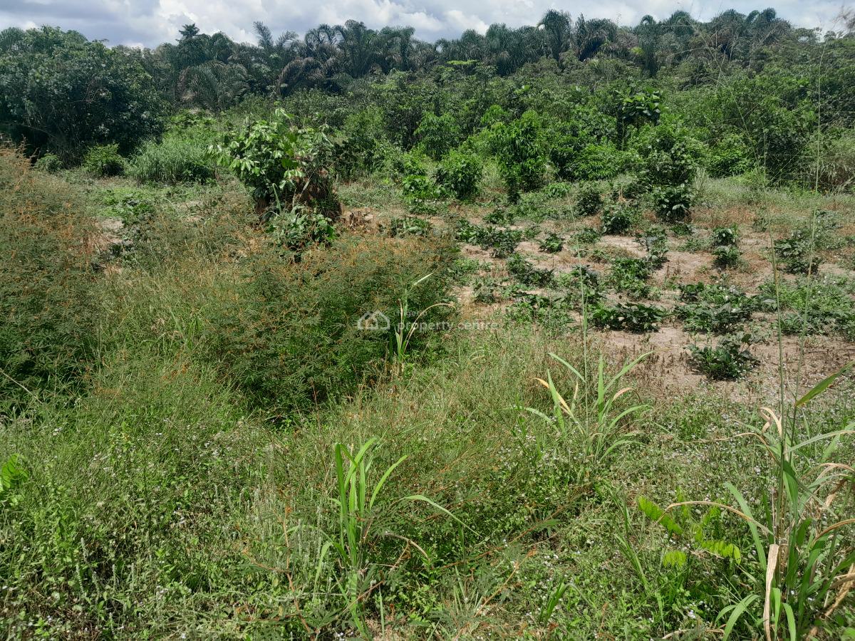 100ft By 200ft Land, Obadolovbiyeyi Community Off Benin Agbor Road Bypass Benin City, Benin, Oredo, Edo, Land for Sale
