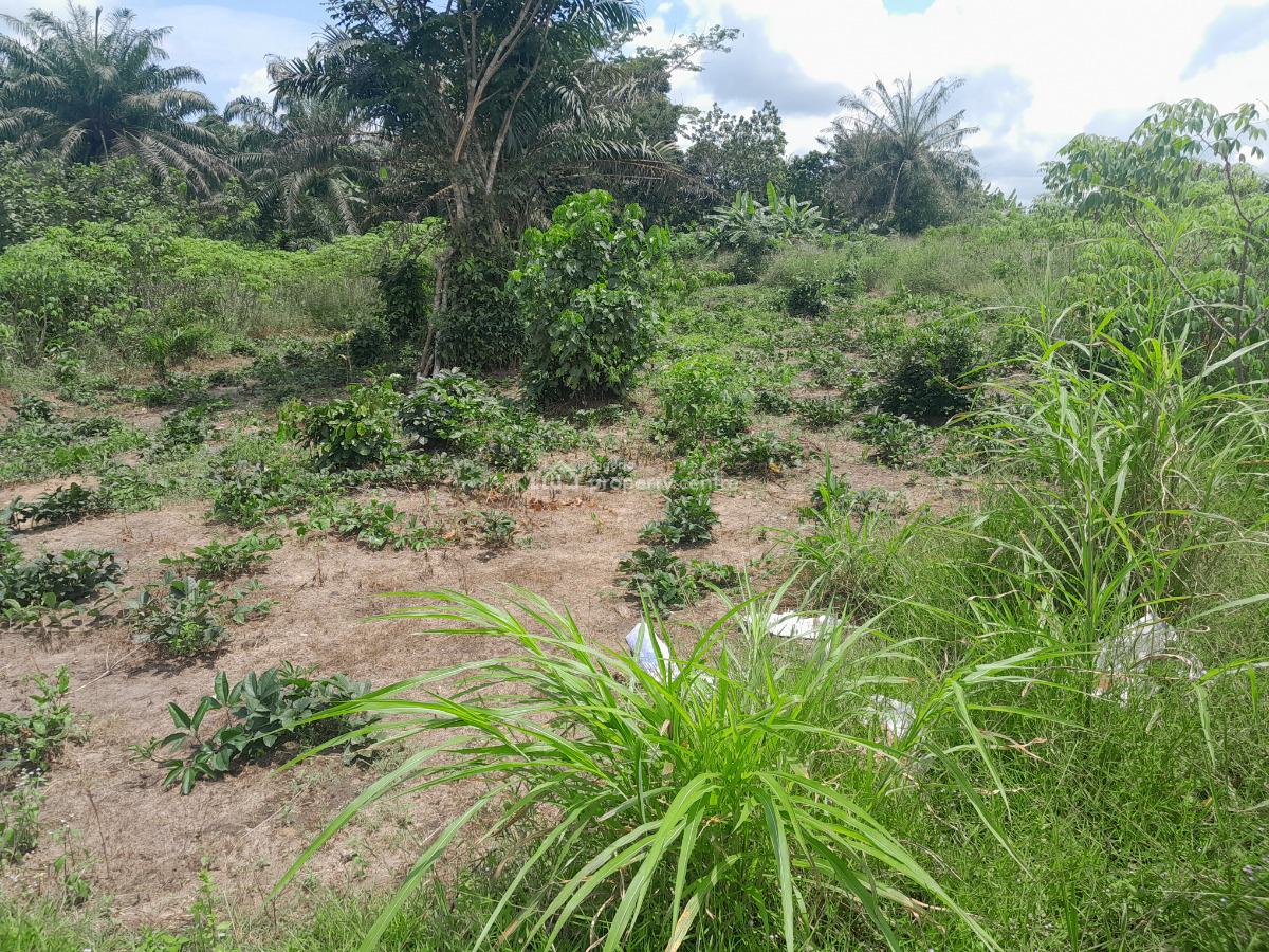 100ft By 200ft Land, Obadolovbiyeyi Community Off Benin Agbor Road Bypass Benin City, Benin, Oredo, Edo, Land for Sale