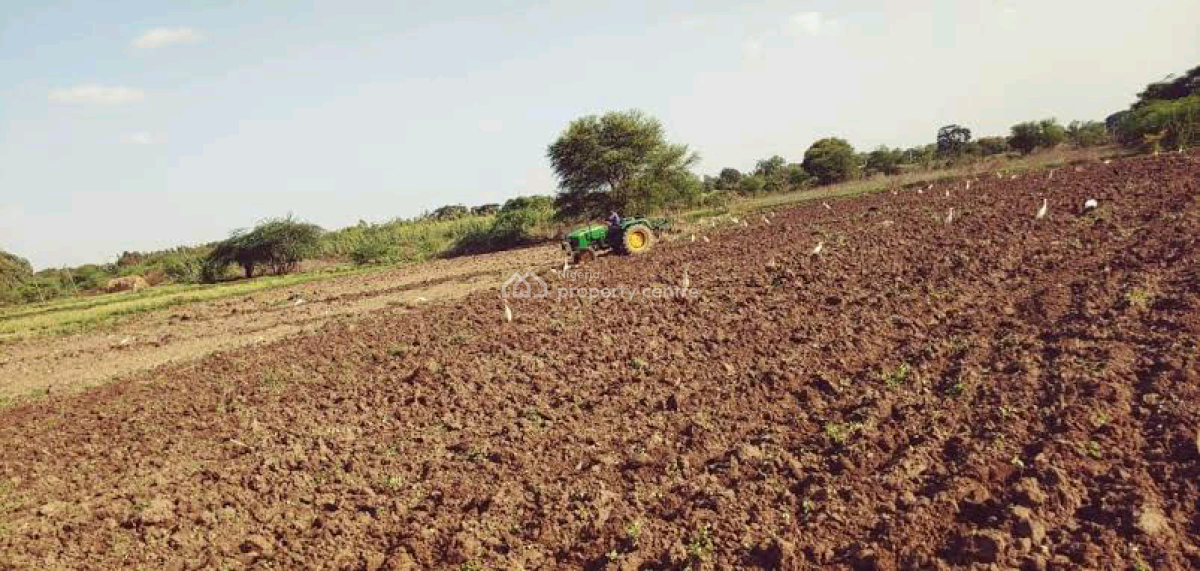 Buy Lands with 50 Percent Yearly Profit, Ibeju Lekki, Lagos, Land for Sale