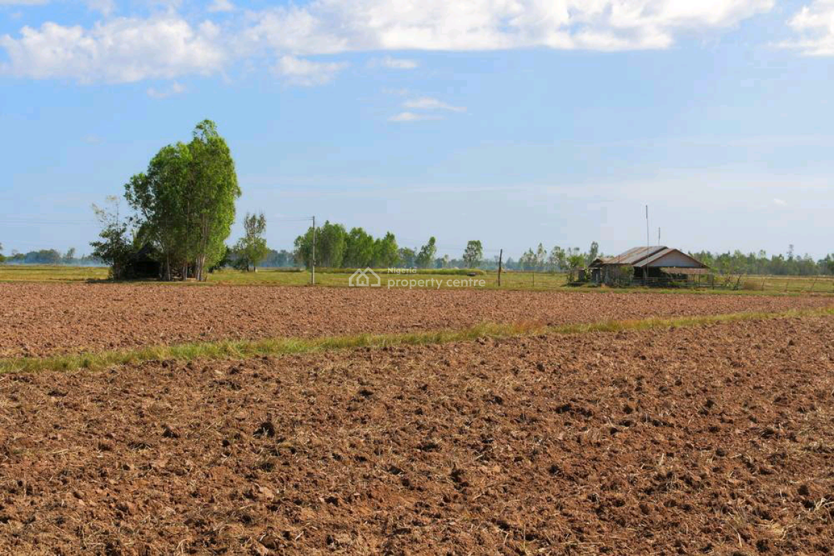 Buy Lands with 50 Percent Yearly Profit, Ibeju Lekki, Lagos, Land for Sale