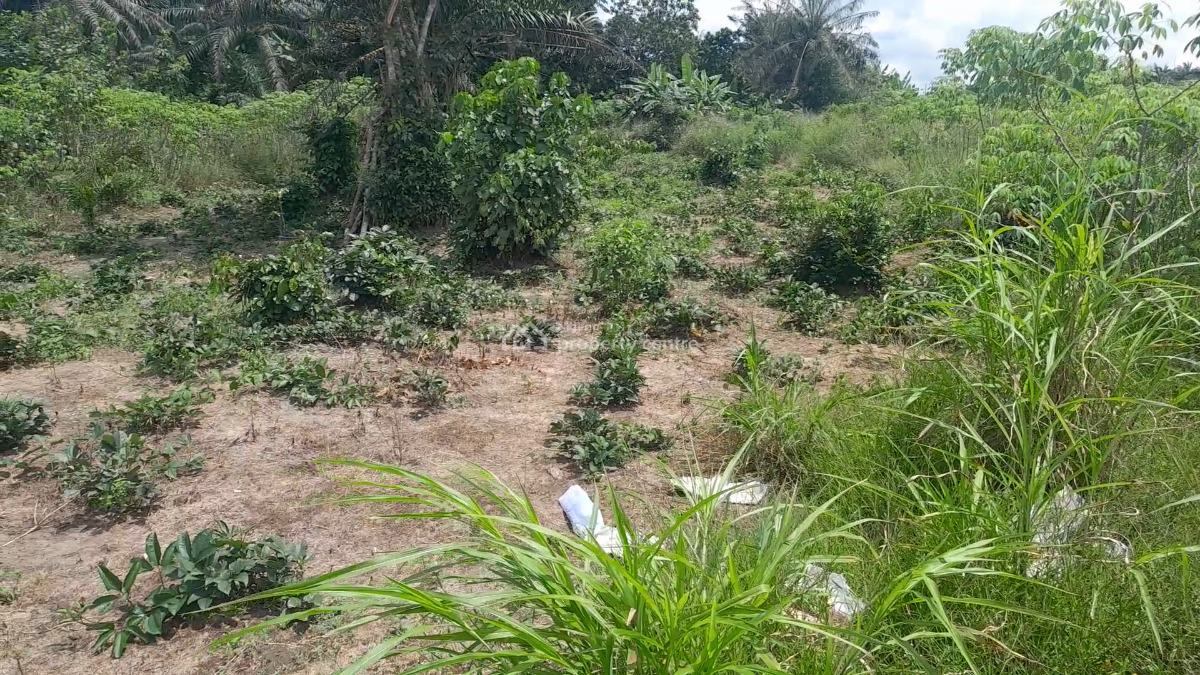 100ft By 100ft Land, Obadolovbiyeyi Community Off Benin Agbor Road Bypass Benin City, Benin, Oredo, Edo, Land for Sale