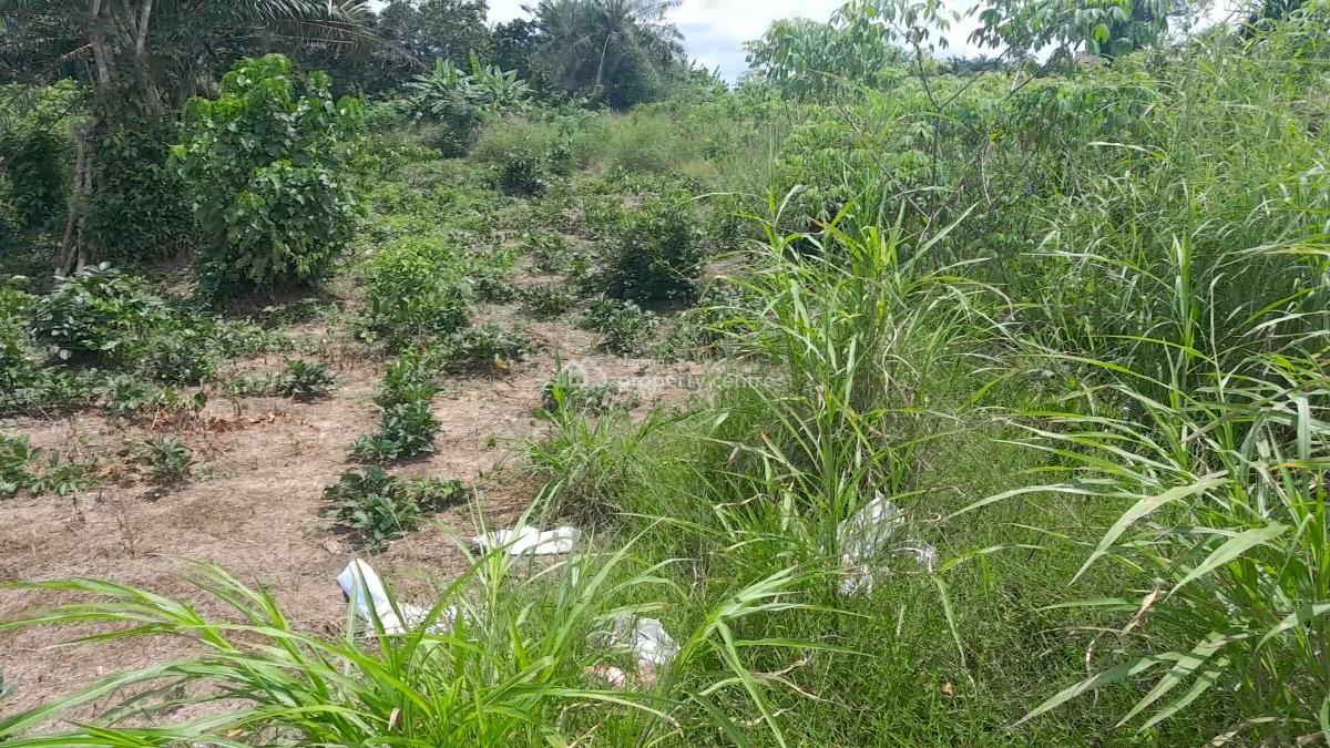 100ft By 100ft Land, Obadolovbiyeyi Community Off Benin Agbor Road Bypass Benin City, Benin, Oredo, Edo, Land for Sale