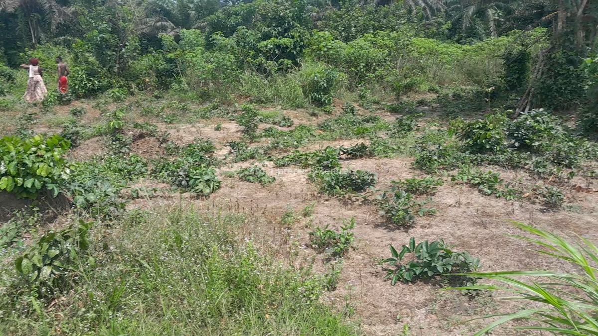 100ft By 100ft Land, Obadolovbiyeyi Community Off Benin Agbor Road Bypass Benin City, Benin, Oredo, Edo, Land for Sale