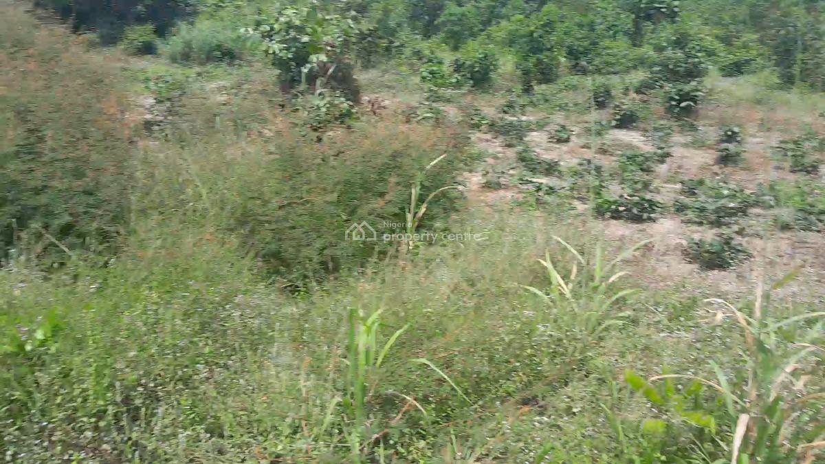 100ft By 100ft Land, Obadolovbiyeyi Community Off Benin Agbor Road Bypass Benin City, Benin, Oredo, Edo, Land for Sale